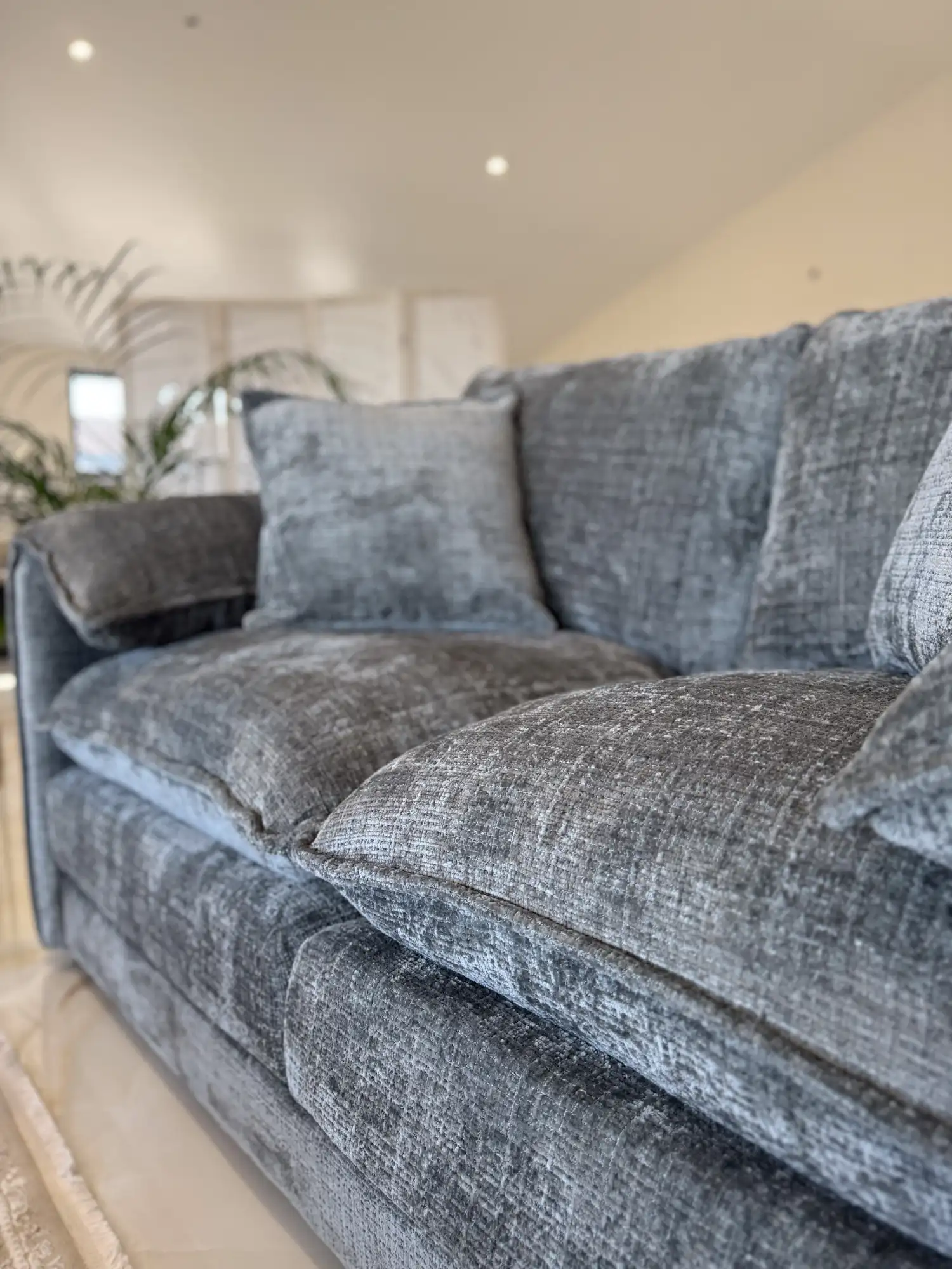 IMG_8446_14eec962-8cbf-4e3b-a621-83dd30531c16