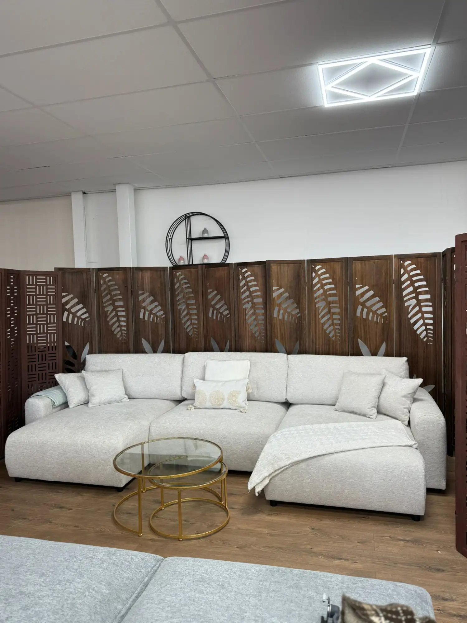 WhatsApp_Image_2026-01-07_at_18.33.06_1